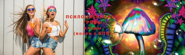 кокс Аркадак