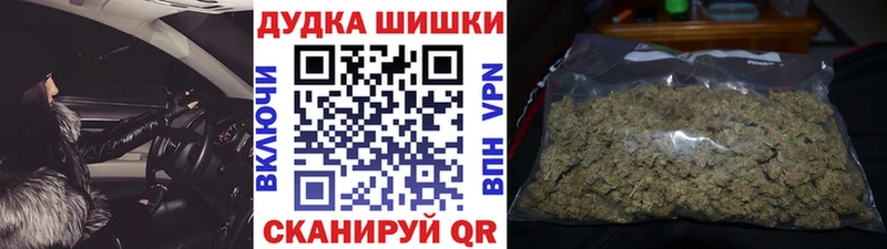 Бошки марихуана OG Kush Губаха
